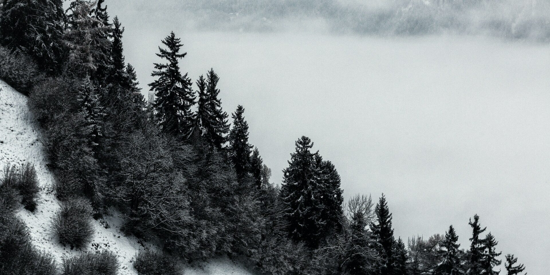 Conferenza Libertà & Pensiero Conferenza Libertà & Pensiero - la casa del viaggiatore